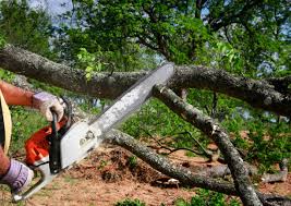 Best Lawn Grading and Leveling  in North Fair Oaks, CA